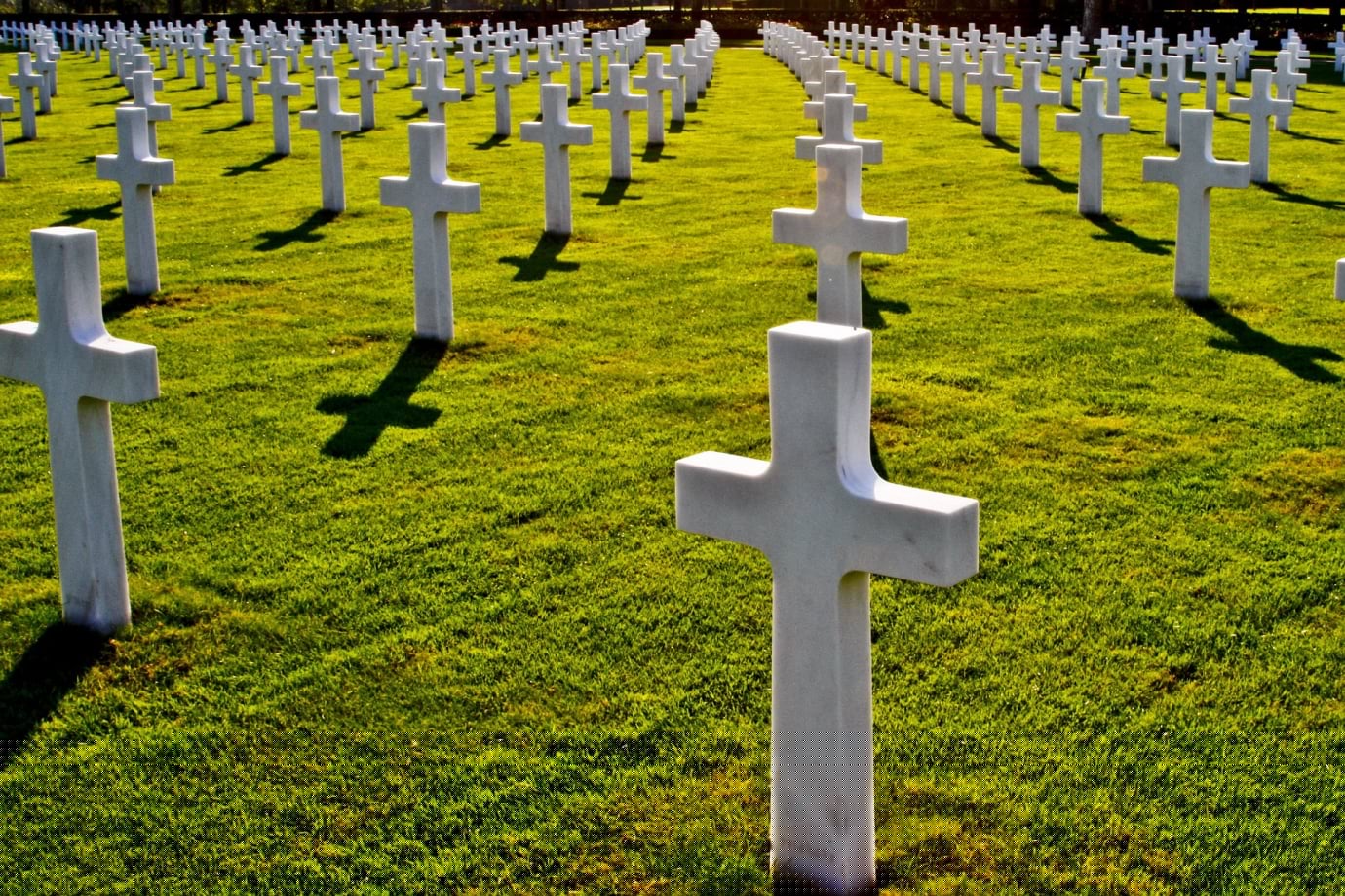 War Is Always A Tragedy.